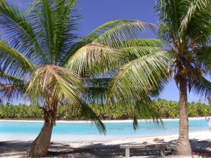 Carnet de voyage – TAHITI – Tout savoir, ou presque, sur la Polynésie française