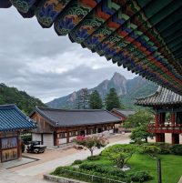 Vivre en Corée du Sud