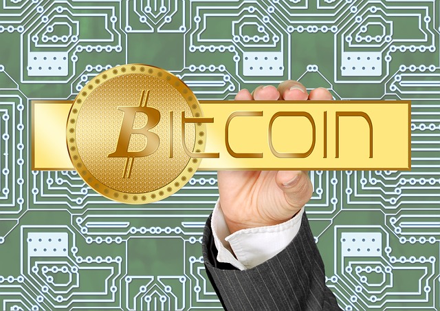 Le bitcoin : une monnaie de singe